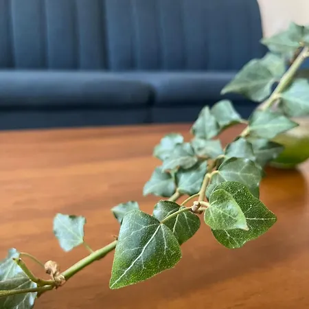 Mz Διαμέρισμα